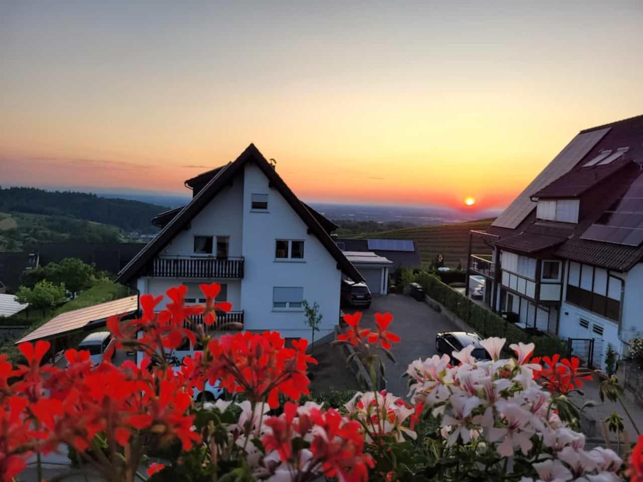 Renatas Ferienwohnung Sasbachwalden Extérieur photo