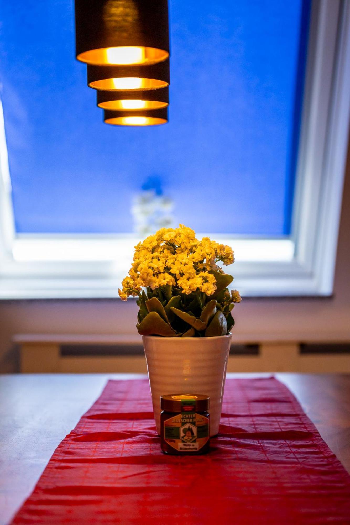 Renatas Ferienwohnung Sasbachwalden Extérieur photo